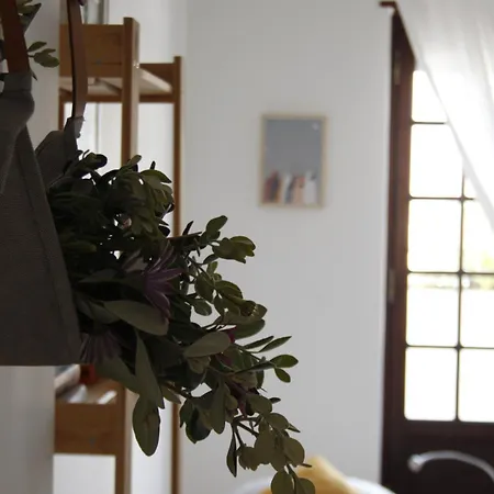 Guest house Boa Onda *